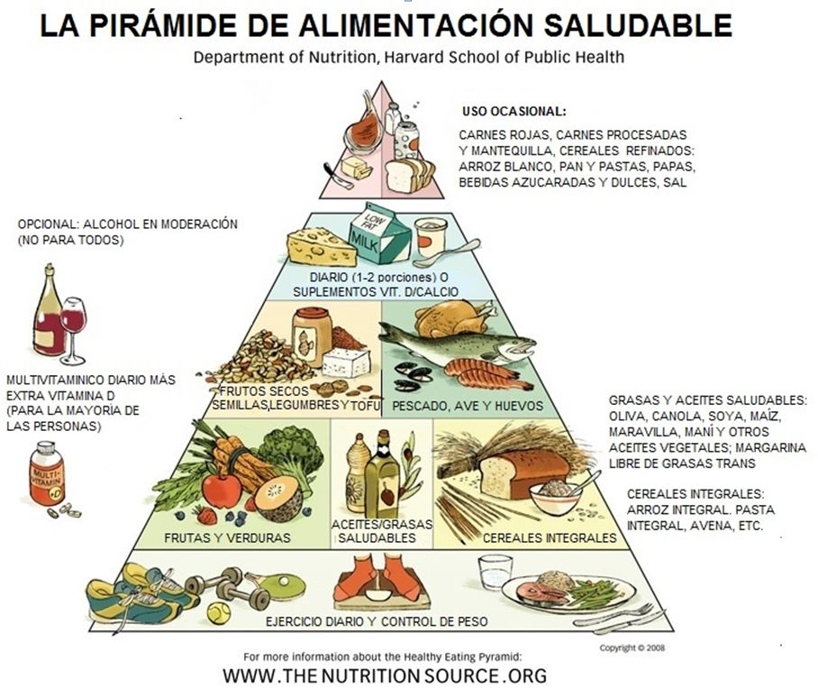 Pirámide Alimentación Harvard